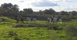 Cuatro personas disfrutan de una "Ruta a caballo por la dehesa extremeña (Cáceres)", montando a caballo por campos de hierba con árboles dispersos bajo un cielo parcialmente nublado, mostrando la serena belleza de Cáceres. - ForTwo - Planes para parejas