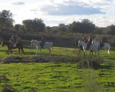 Cuatro personas disfrutan de una "Ruta a caballo por la dehesa extremeña (Cáceres)", montando a caballo por campos de hierba con árboles dispersos bajo un cielo parcialmente nublado, mostrando la serena belleza de Cáceres. - ForTwo - Planes para parejas