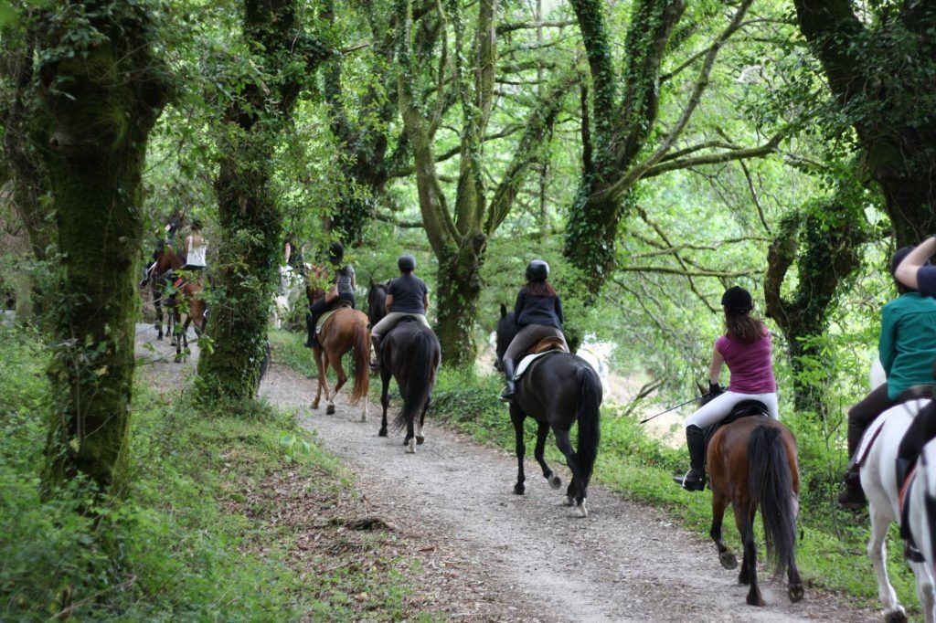 rutas-a-caballo-1|