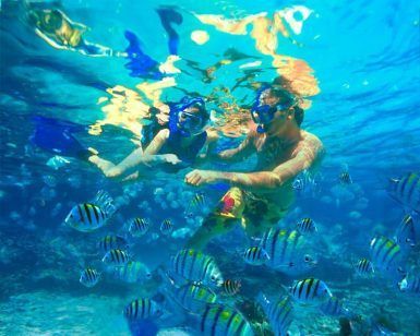 Dos personas practican snorkel en las cristalinas aguas de Herradura, rodeadas de peces vibrantes. Su aventura "Buceo Snorkel en la Herradura y Almuñécar (Granada)" revela la belleza submarina oculta. - ForTwo - Planes para parejas
