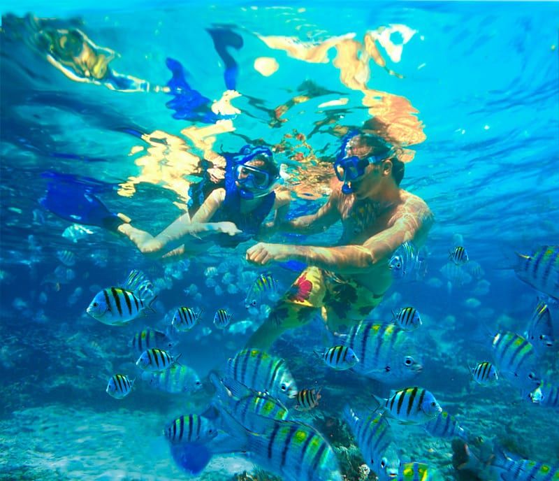 Dos personas practican snorkel en las cristalinas aguas de Herradura, rodeadas de peces vibrantes. Su aventura "Buceo Snorkel en la Herradura y Almuñécar (Granada)" revela la belleza submarina oculta. - ForTwo - Planes para parejas