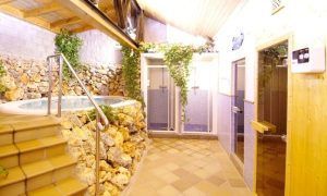 Disfrute de "Un circuito de spa perfecto en Guadix (Granada)" con jacuzzi, sauna de madera y duchas. Los detalles en piedra y la exuberante vegetación crean un tranquilo oasis interior que refleja la belleza natural de la zona. - ForTwo - Planes para parejas