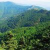 Explora los ondulantes montes de Marbella, cubiertos de densos bosques verdes, bajo un cielo despejado con nuestro "Tour en bicicleta eléctrica por los montes de Marbella. - ForTwo - Planes para parejas
