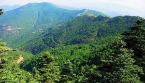 Explora los ondulantes montes de Marbella, cubiertos de densos bosques verdes, bajo un cielo despejado con nuestro "Tour en bicicleta eléctrica por los montes de Marbella. - ForTwo - Planes para parejas