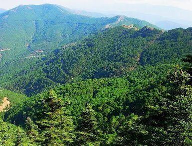 Explora los ondulantes montes de Marbella, cubiertos de densos bosques verdes, bajo un cielo despejado con nuestro "Tour en bicicleta eléctrica por los montes de Marbella. - ForTwo - Planes para parejas