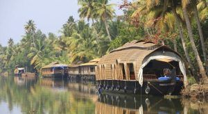 Casas flotantes en un río tranquilo en el sur de la India, rodeadas de exuberantes palmeras y vegetación bajo un cielo despejado, proporcionan el escenario ideal para un Viaje por el sur de la India por 10 días. - ForTwo - Planes para parejas