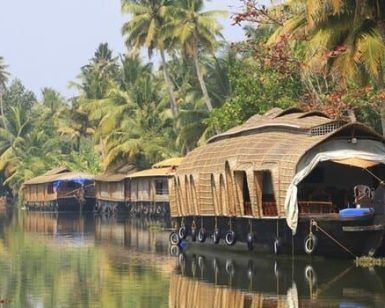Casas flotantes en un río tranquilo en el sur de la India, rodeadas de exuberantes palmeras y vegetación bajo un cielo despejado, proporcionan el escenario ideal para un Viaje por el sur de la India por 10 días. - ForTwo - Planes para parejas
