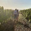 En medio de exuberantes vides verdes, una pareja disfruta de un "Día romántico de vino y gastronomía entre viñedos" en Barcelona, saboreando la promesa del viñedo iluminado por el sol de buen vino y ricos manjares. - ForTwo - Planes para parejas