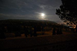 Un paisaje iluminado por la luna con árboles recortados, colinas y un tejado bajo un cielo nocturno nublado evoca el misterio de explorar el cementerio histórico de Granada durante la "Visita guiada privada al cementerio de Granada" bajo un dosel iluminado por las estrellas. - ForTwo - Planes para parejas
