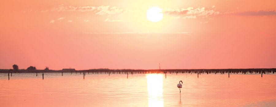 delta del ebro atardecer