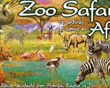 Una ilustración de la vida salvaje africana con elefantes, leones, cebras y flamencos presenta el texto Zoo Safari y ofrece una mirada a Fauna Aventura con las "Entradas para Zoo Safari Fauna Aventura". - ForTwo - Planes para parejas
