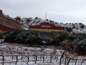 El edificio rojo de Bodegas Muñana, enclavado entre viñedos nevados, encarna su esencia. Sus serenas colinas lo convierten en el escenario ideal para una deliciosa Cata de Vinos en Bodegas Muñana para Dos. - ForTwo - Planes para parejas