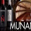Tres botellas de vino etiquetadas como Muñana se encuentran en una bodega rústica, capturando la esencia de Bodegas Muñana, ideal para la experiencia Cata de Vinos en Bodegas Muñana para Dos que celebra la tradición y el sabor. - ForTwo - Planes para parejas