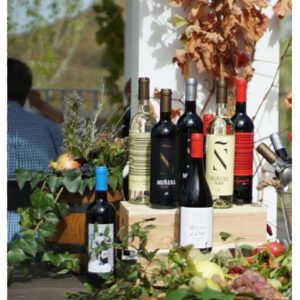 Botellas de vino variadas de Bodegas Muñana sobre una mesa adornada con vegetación y frutas, con una Ruta de senderismo y cata de vinos al aire libre como telón de fondo. - ForTwo - Planes para parejas