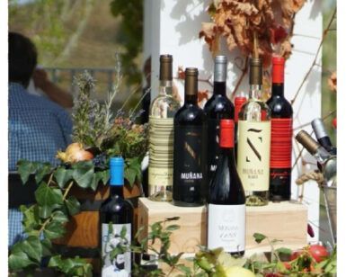 Botellas de vino variadas de Bodegas Muñana sobre una mesa adornada con vegetación y frutas, con una Ruta de senderismo y cata de vinos al aire libre como telón de fondo. - ForTwo - Planes para parejas