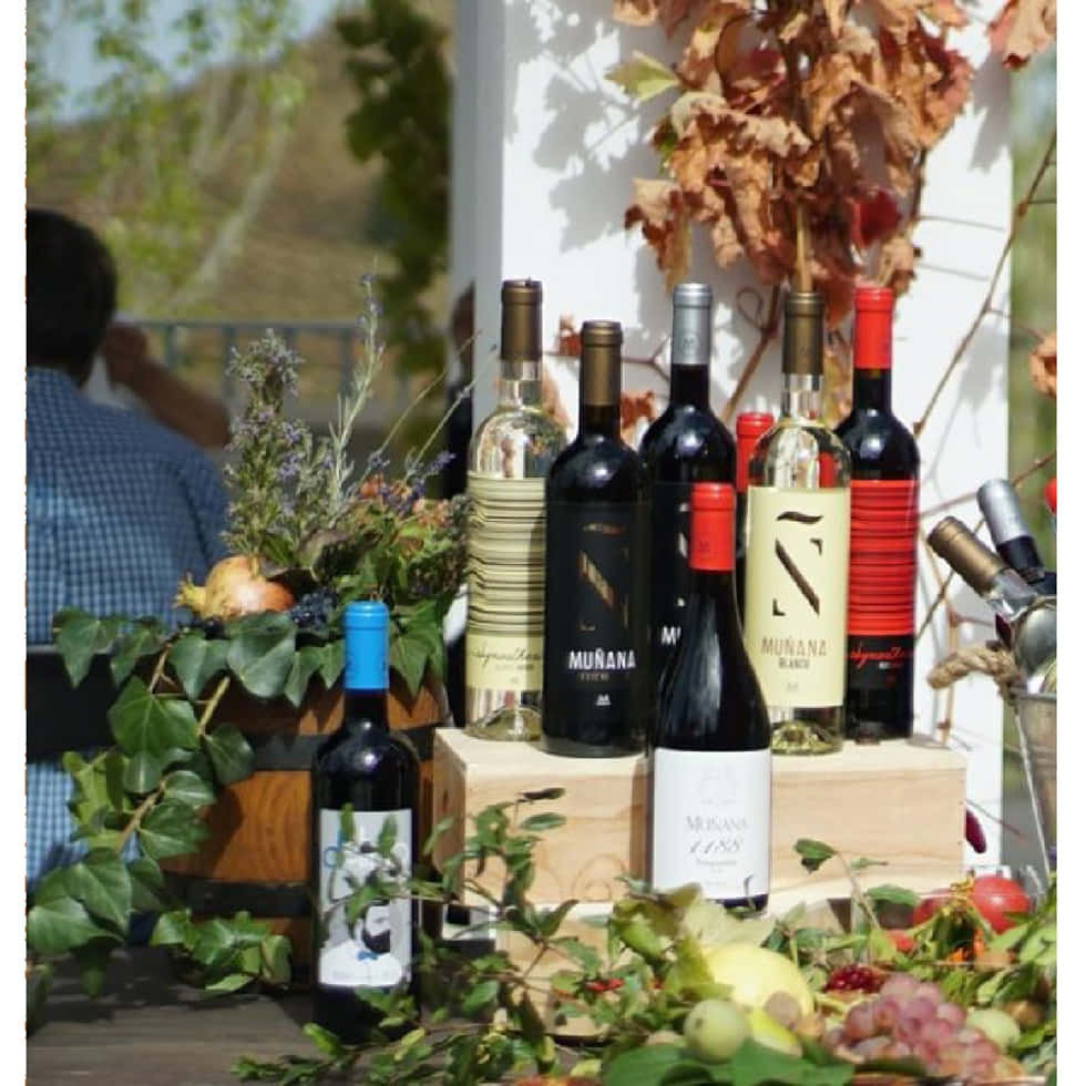 Botellas de vino variadas de Bodegas Muñana sobre una mesa adornada con vegetación y frutas, con una Ruta de senderismo y cata de vinos al aire libre como telón de fondo. - ForTwo - Planes para parejas