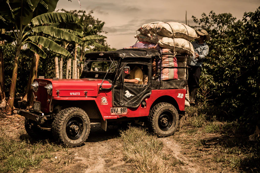 Un Jeep Willys descansa en un camino de tierra junto a bananos, lleno de sacos. Cerca de allí, dos miembros de la Familia Osorio conversan con un Experto del Café del "Taller de Cata de Café en Familia Osorio", compartiendo historias sobre los mejores granos de la región bajo el sol tropical. - ForTwo - Planes para parejas