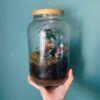 Una mano sostiene un terrario en un frasco de vidrio del Taller de Jardín Eterno en Granada, donde la tierra, el musgo y las pequeñas plantas de hojas prosperan sobre un fondo azul claro. - ForTwo - Planes para parejas