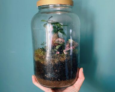 Una mano sostiene un terrario en un frasco de vidrio del Taller de Jardín Eterno en Granada, donde la tierra, el musgo y las pequeñas plantas de hojas prosperan sobre un fondo azul claro. - ForTwo - Planes para parejas