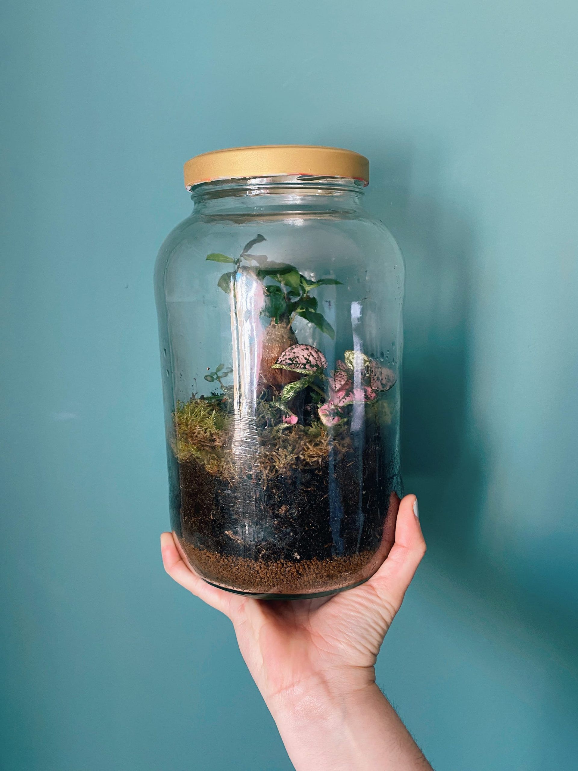 Una mano sostiene un terrario en un frasco de vidrio del Taller de Jardín Eterno en Granada, donde la tierra, el musgo y las pequeñas plantas de hojas prosperan sobre un fondo azul claro. - ForTwo - Planes para parejas