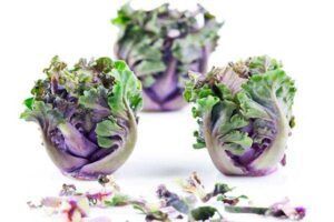 Primer plano de tres coles de Bruselas con hojas moradas y verdes sobre fondo blanco, ideal para quien quiera cocinar un plato que capture el encanto culinario de "Diviértete Cocinando en Madrid A Punto. - ForTwo - Planes para parejas
