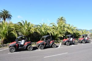 Cuatro vehículos de Buggy Tour en La Palma están estacionados en una carretera iluminada por el sol bordeada de palmeras ondulantes, bajo un cielo azul claro, listos para una aventura inolvidable. - ForTwo - Planes para parejas