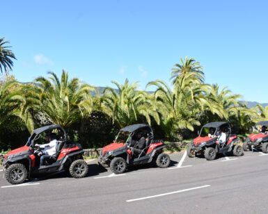 Cuatro vehículos de Buggy Tour en La Palma están estacionados en una carretera iluminada por el sol bordeada de palmeras ondulantes, bajo un cielo azul claro, listos para una aventura inolvidable. - ForTwo - Planes para parejas