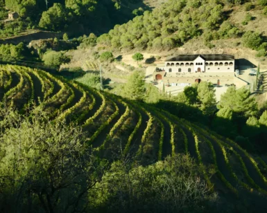 Las hileras de viñedos se extienden por las laderas de las colinas en el pintoresco Priorat, con una gran casa enclavada entre árboles bajo un cielo despejado, que invita a los huéspedes a realizar Catas y Visitas en el Corazón del Priorat. - ForTwo - Planes para parejas