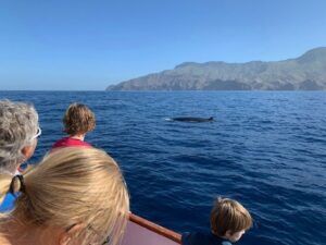 La gente en un barco disfruta de un Avistamiento de Ballenas en Canarias, observando una ballena en el océano contra una costa montañosa bajo un cielo azul claro. - ForTwo - Planes para parejas
