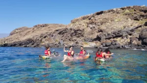 Los kayakistas reman en canoas Kayak Transparente en Radazul, explorando las vibrantes aguas azules y los acantilados rocosos de Radazul bajo un cielo despejado, revelando el fascinante fondo marino de Tenerife debajo. - ForTwo - Planes para parejas