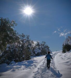 Alguien que utiliza las "Raquetas de Nieve en Huesca para Principiantes: Ruta Circular en Somport" recorre un sendero nevado, disfrutando del sol brillante entre árboles cubiertos de nieve en el impresionante paisaje de Somport. - ForTwo - Planes para parejas
