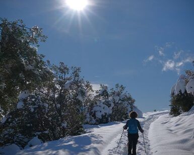 Alguien que utiliza las "Raquetas de Nieve en Huesca para Principiantes: Ruta Circular en Somport" recorre un sendero nevado, disfrutando del sol brillante entre árboles cubiertos de nieve en el impresionante paisaje de Somport. - ForTwo - Planes para parejas