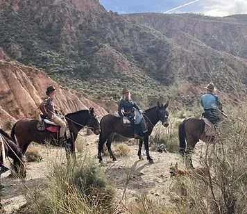 Tres ciclistas en un sendero rocoso de Sierra Nevada disfrutan del encanto de Rutas a Caballo en Granada por Sierra Nevada bajo un cielo parcialmente nublado. - ForTwo - Planes para parejas