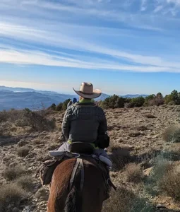 Una persona con sombrero de vaquero monta a caballo por senderos rocosos en la impresionante Sierra Nevada bajo el cielo azul claro de Granada, disfrutando de la experiencia de Rutas a Caballo en Granada por Sierra Nevada. - ForTwo - Planes para parejas