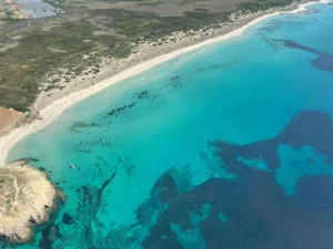 El "Tour en Helicóptero por Mallorca" ofrece una vista aérea de la costa turquesa de Mallorca, destacando sus playas de arena y su exuberante vegetación. - ForTwo - Planes para parejas