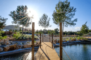 Un puente de madera cruza un estanque sereno entre frondosos árboles y un sol radiante, encapsulando la esencia de la naturaleza en "BIBO PARK Ibiza: Naturaleza y biotecnología. - ForTwo - Planes para parejas
