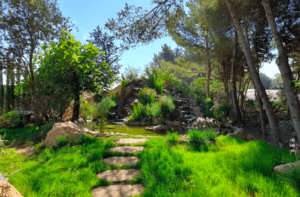 El camino del jardín serpentea a través de una vegetación vibrante, conduciendo a un tranquilo estanque rodeado de árboles, evocando el encanto natural de BIBO PARK Ibiza: Naturaleza y biotecnología. - ForTwo - Planes para parejas