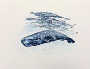 La acuarela de Ana Mañana, presentada en "Descubre las actividades de Tía Xuana e Ana Mañana", representa una ballena nadando bajo el agua, evocando recuerdos de la infancia con Tía Xuana. - ForTwo - Planes para parejas