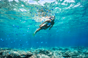 Un buceador se deleita con una "Excursión a Formentera: Un día en el paraíso", deslizándose sobre un vibrante arrecife de coral lleno de pequeños peces azules en las cristalinas aguas turquesas de la isla. - ForTwo - Planes para parejas