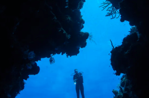 Un buceador explora acantilados submarinos cubiertos de coral en aguas cristalinas durante una Iniciación Privada al Buceo en Tenerife cerca de las impresionantes costas. - ForTwo - Planes para parejas