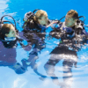 Tres buceadores con trajes de neopreno y equipo de buceo conversan durante una sesión de Iniciación Privada al Buceo en Tenerife en una piscina, y uno de ellos gesticula animadamente sobre su próxima inmersión. - ForTwo - Planes para parejas