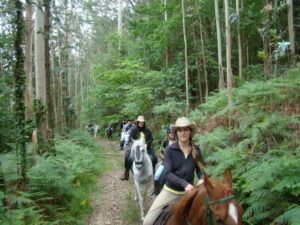 Aquellos que cabalgan por los tranquilos senderos forestales de la Serra de Outes se ven abrazados por altos árboles y exuberante vegetación, disfrutando de la encantadora experiencia de Rutas a caballo en Serra de Outes (A Coruña). - ForTwo - Planes para parejas