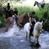 Cuatro jinetes cruzan un arroyo poco profundo en medio de la exuberante vegetación de la Serra de Outes; una escena idílica para quienes exploran "Rutas a caballo en Serra de Outes". (A Coruña). - ForTwo - Planes para parejas