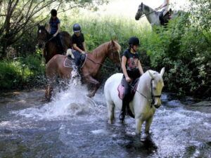 Cuatro jinetes cruzan un arroyo poco profundo en medio de la exuberante vegetación de la Serra de Outes; una escena idílica para quienes exploran "Rutas a caballo en Serra de Outes". (A Coruña). - ForTwo - Planes para parejas