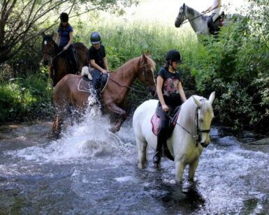 Cuatro jinetes cruzan un arroyo poco profundo en medio de la exuberante vegetación de la Serra de Outes; una escena idílica para quienes exploran "Rutas a caballo en Serra de Outes". (A Coruña). - ForTwo - Planes para parejas