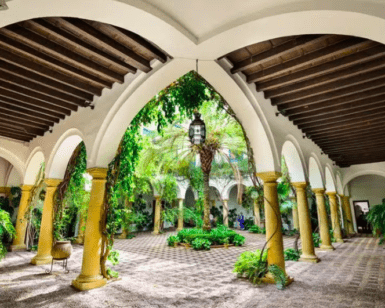 Descubra un tranquilo patio con jardín inspirado en Córdoba en el Palacio de Viana, con senderos arqueados, elegantes columnas, una palmera central y un techo de madera. Este oasis escondido ofrece una tranquilidad similar a la de un tour por el Palacio de Viana. - ForTwo - Planes para parejas