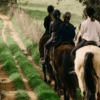 Cuatro personas montan a caballo por un estrecho camino de tierra bordeado de árboles cerca de Badajoz, rodeado de exuberante césped verde, mientras disfrutan de la experiencia del Paseo a Caballo cerca de Badajoz. - ForTwo - Planes para parejas