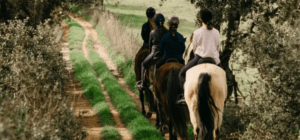Cuatro personas montan a caballo por un estrecho camino de tierra bordeado de árboles cerca de Badajoz, rodeado de exuberante césped verde, mientras disfrutan de la experiencia del Paseo a Caballo cerca de Badajoz. - ForTwo - Planes para parejas