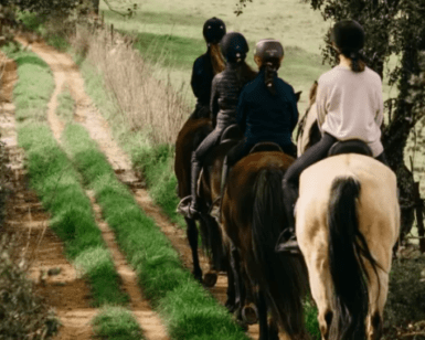 Cuatro personas montan a caballo por un estrecho camino de tierra bordeado de árboles cerca de Badajoz, rodeado de exuberante césped verde, mientras disfrutan de la experiencia del Paseo a Caballo cerca de Badajoz. - ForTwo - Planes para parejas