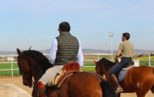 Dos personas disfrutan de un Paseo a Caballo cerca de Badajoz, cabalgando por el pintoresco paisaje en una zona vallada, visto desde atrás. - ForTwo - Planes para parejas